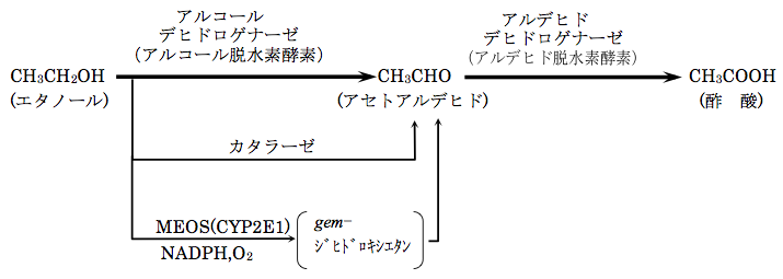 解説画像